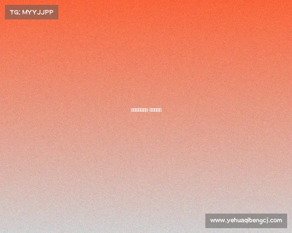 中体杯拳王赛事-中国拳王赛